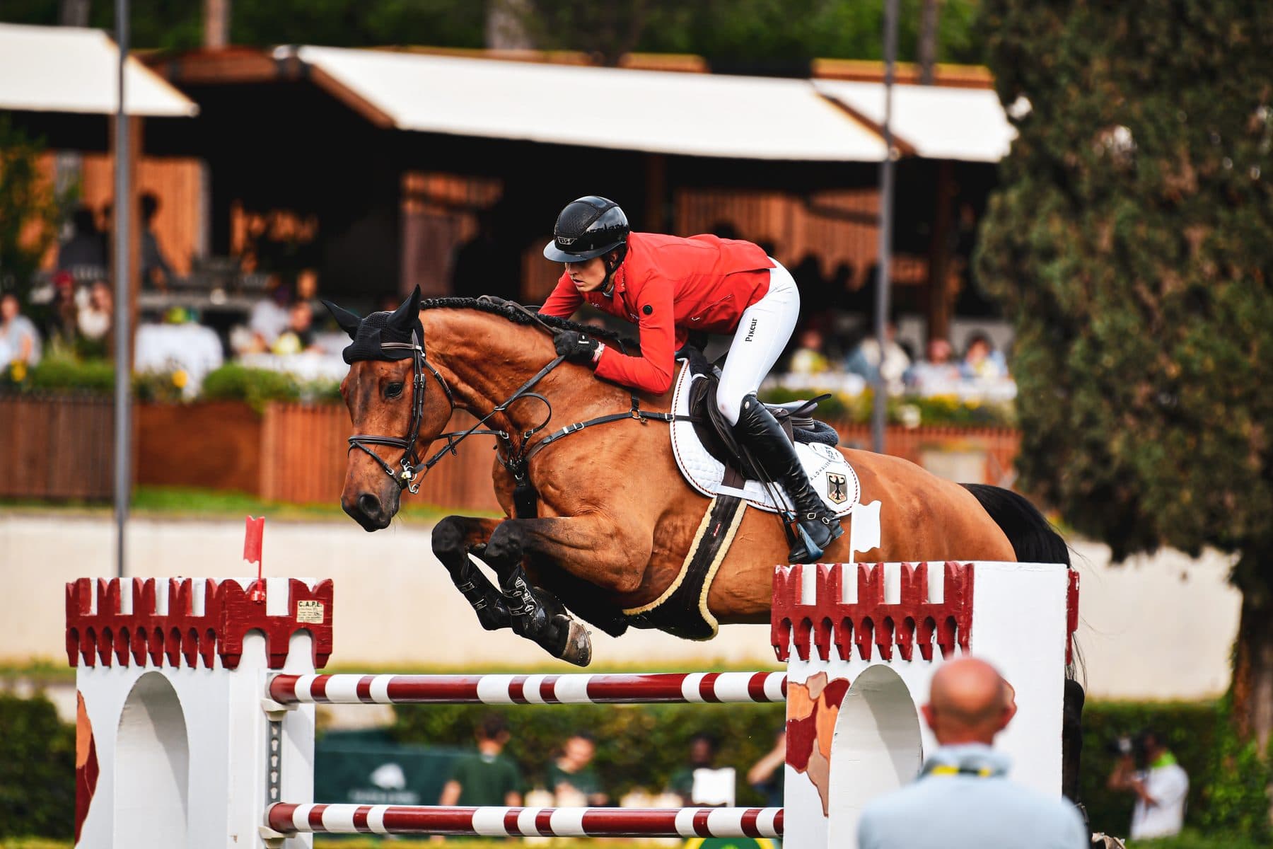 Hunter jumper over a fence